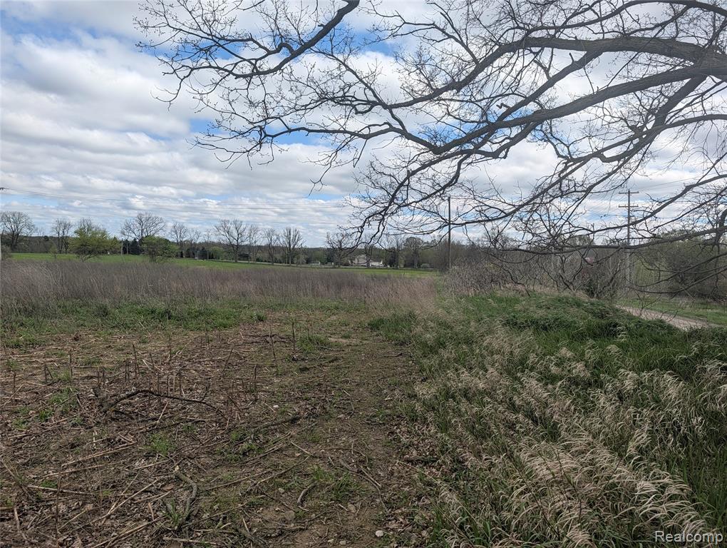 Parcel E Hogan Road Linden, MI 48451 - Photo 3 of 22