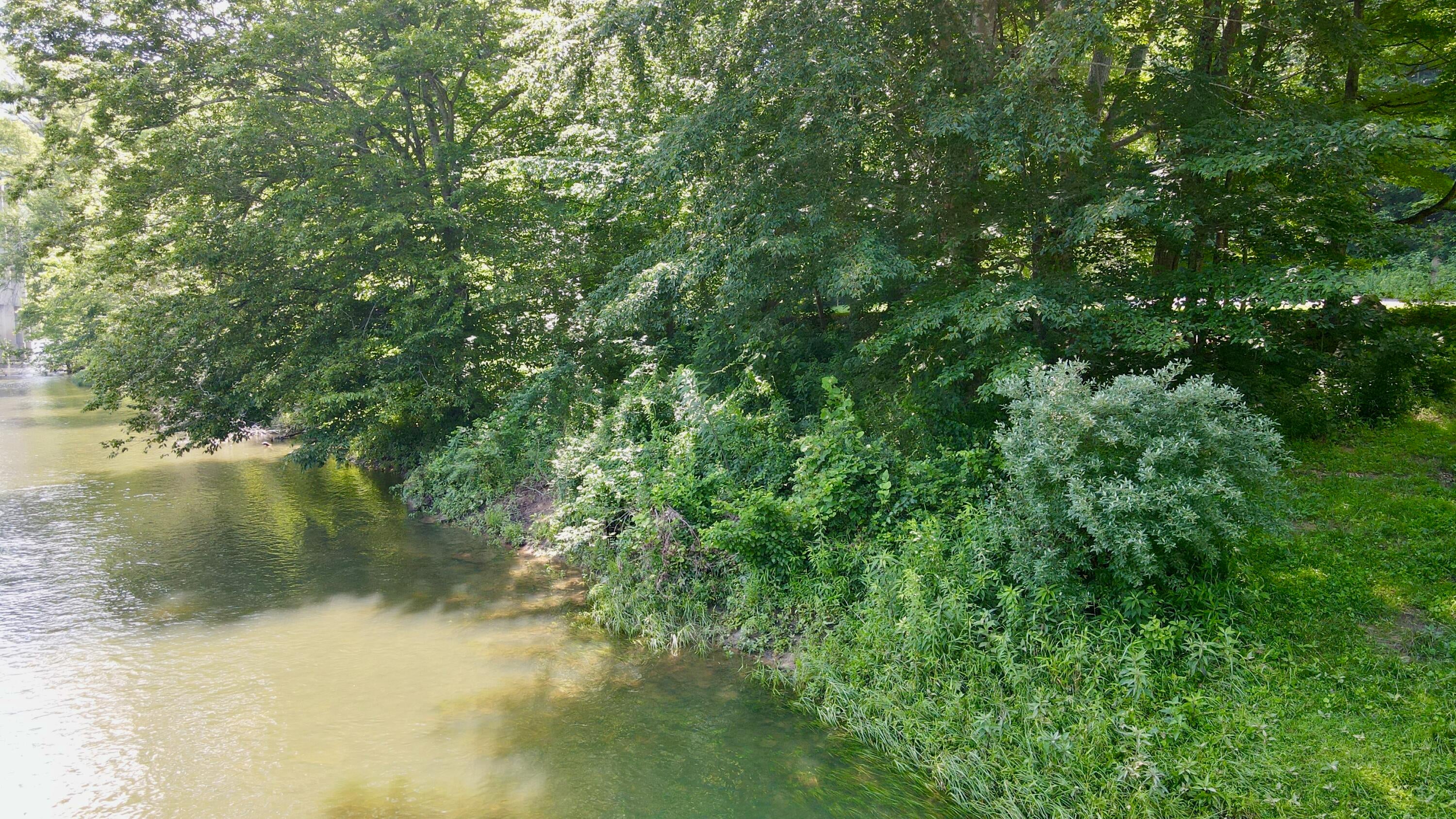 557 Fox Run Road Caldwell, WV 24925 - Photo 13 of 20 Gallery Image 13