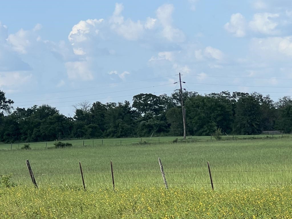15130 Fm 39 Road Bedias, TX 77831 - Photo 22 of 26