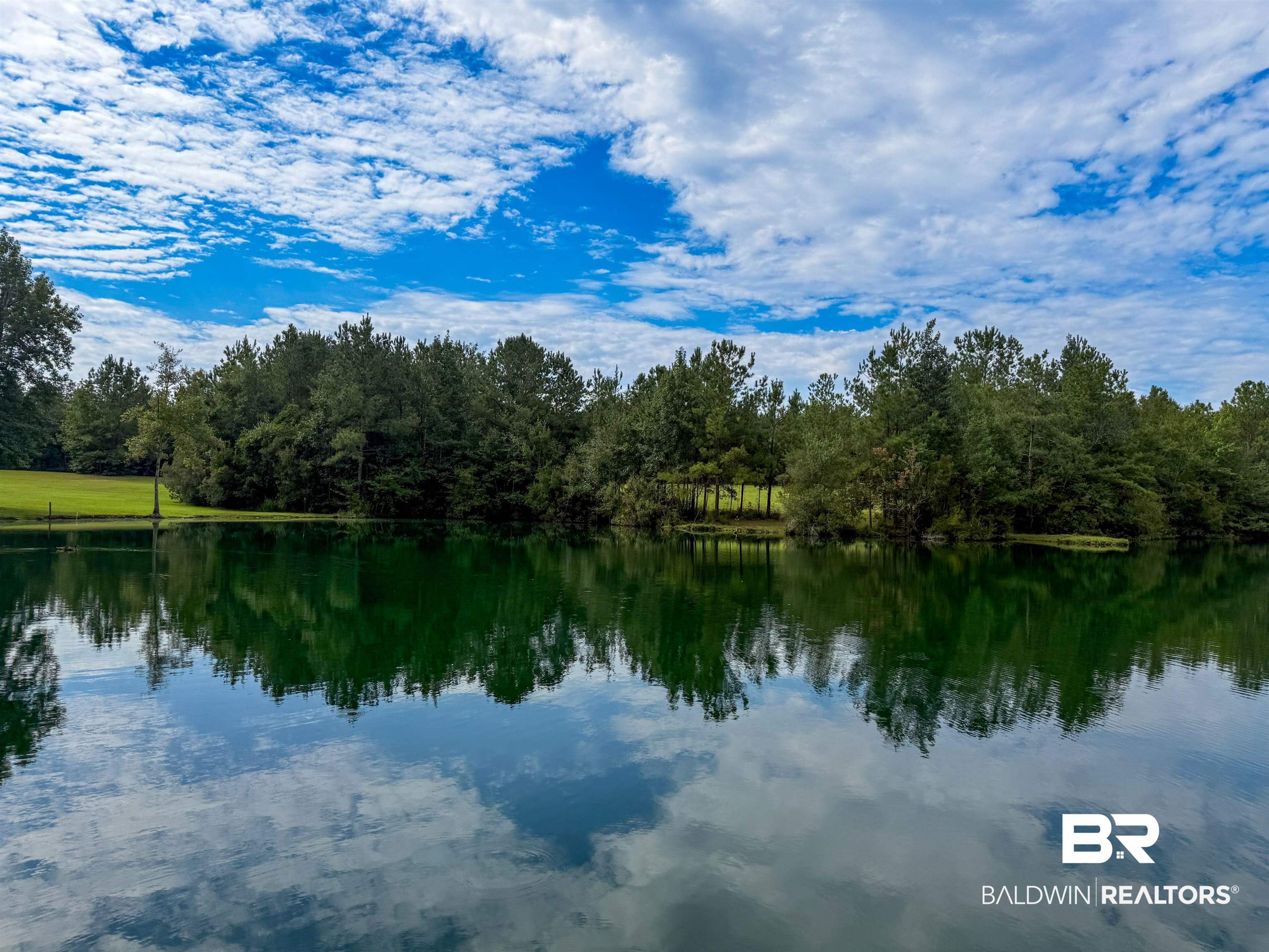 534 Buddy Lake Road Brewton, AL 36426 - Photo 2 of 32 Water view with a forest