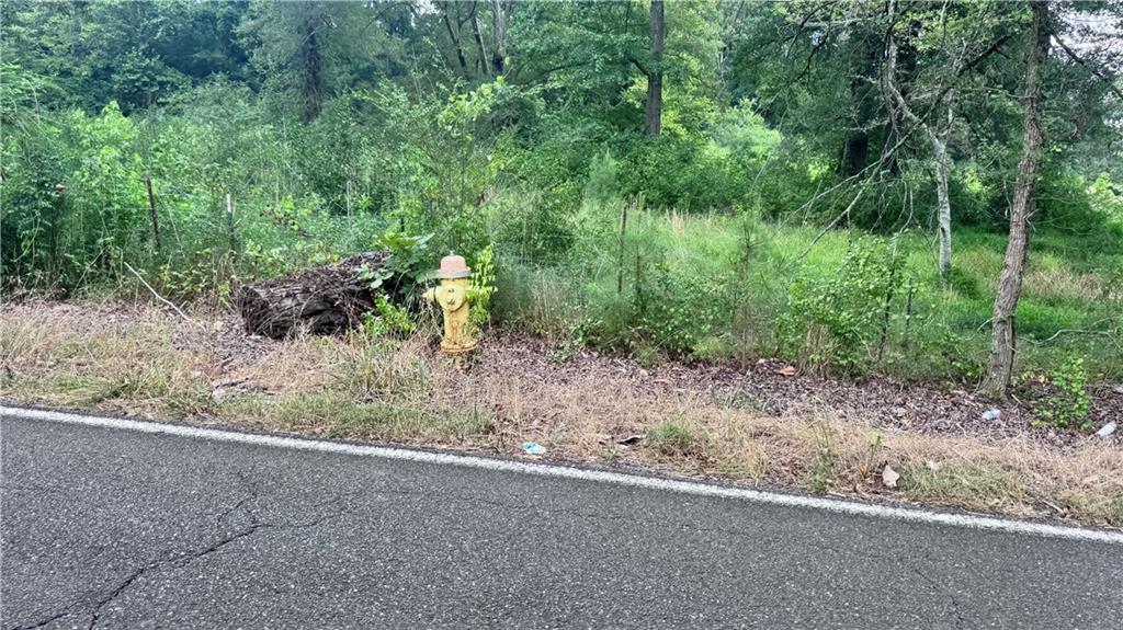 0 Little Texas Valley Road Northwest Rome, GA 30165 - Photo 11 of 12 a view of a yard and trees