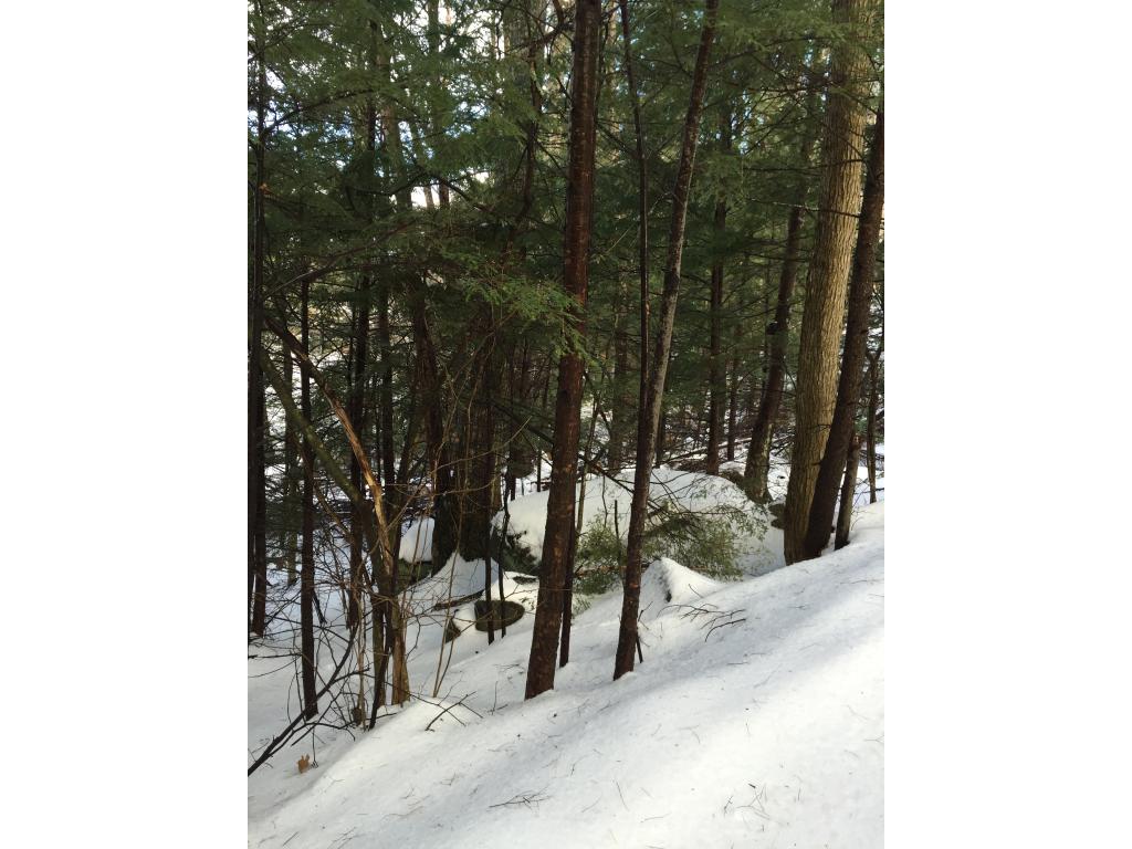 Lot #41 Collins Brook Road Meredith, NH 03253 - Photo 3 of 10