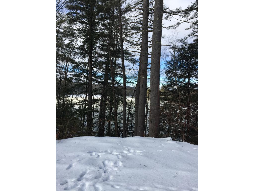 Lot #41 Collins Brook Road Meredith, NH 03253 - Photo 4 of 10