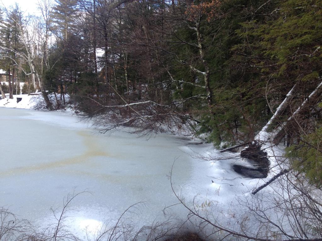 Lot #41 Collins Brook Road Meredith, NH 03253 - Photo 7 of 10