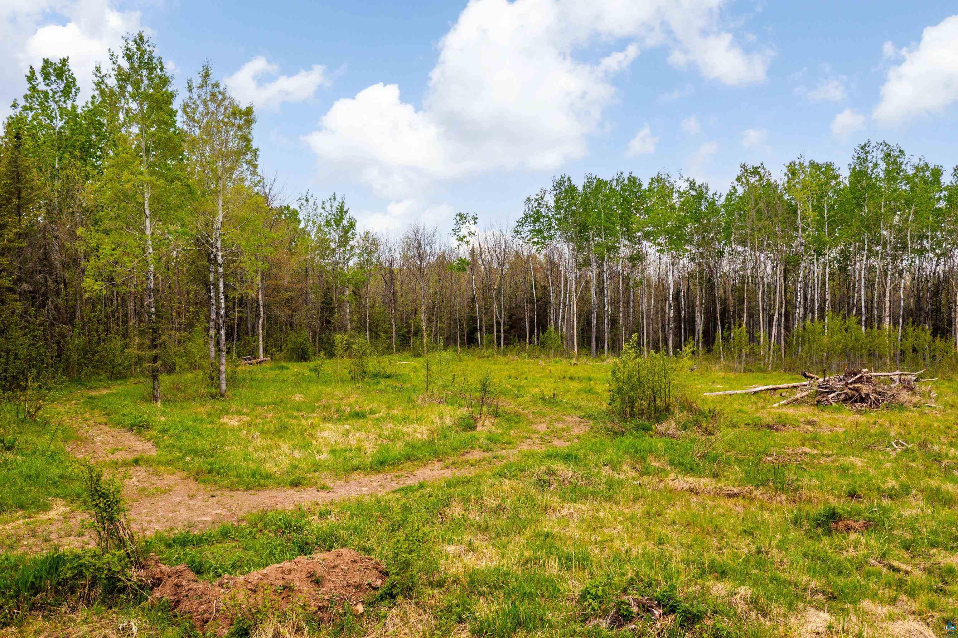 2597 Lauren Road Duluth, MN 55804 - Photo 16 of 26 Gallery Image 16