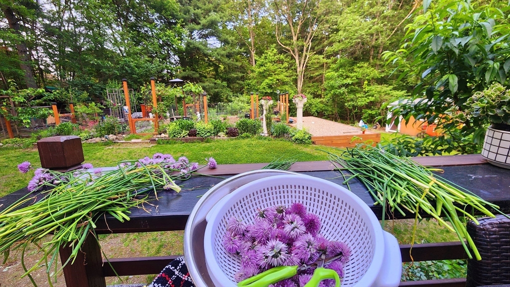 8 Innsbruck Way Franklin, MA 02038 - Photo 27 of 41