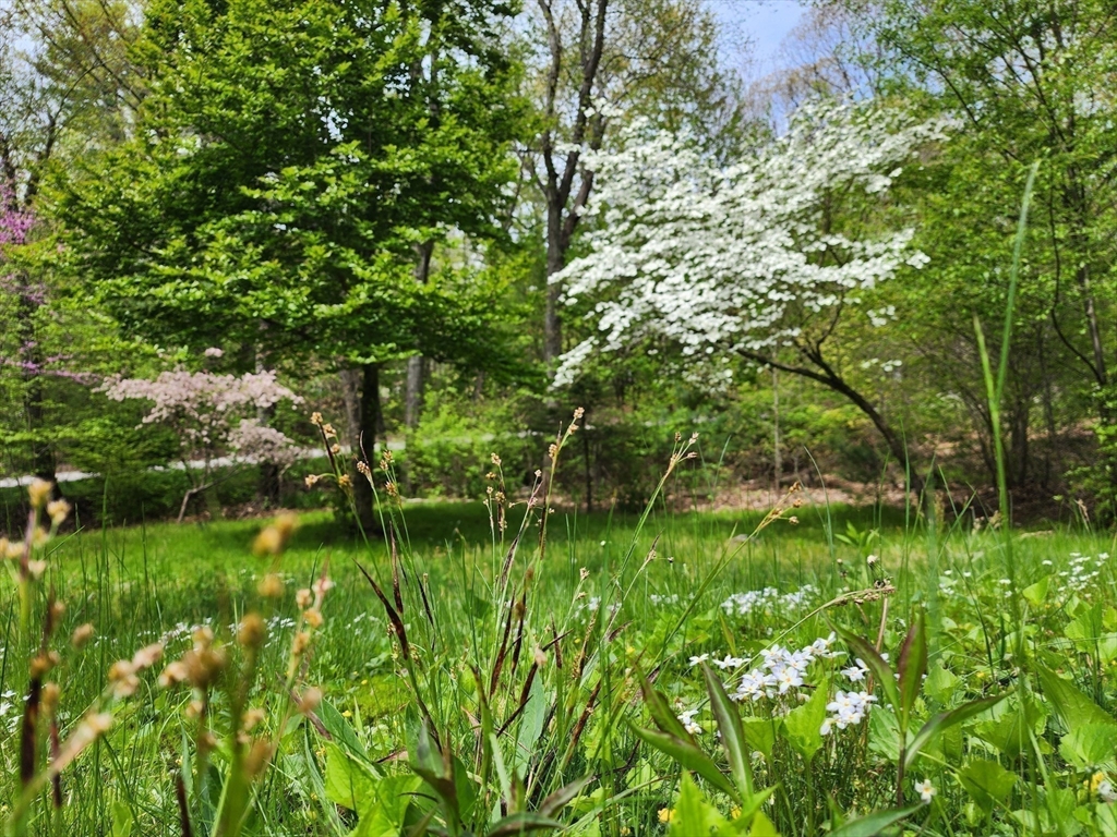 8 Innsbruck Way Franklin, MA 02038 - Photo 4 of 41