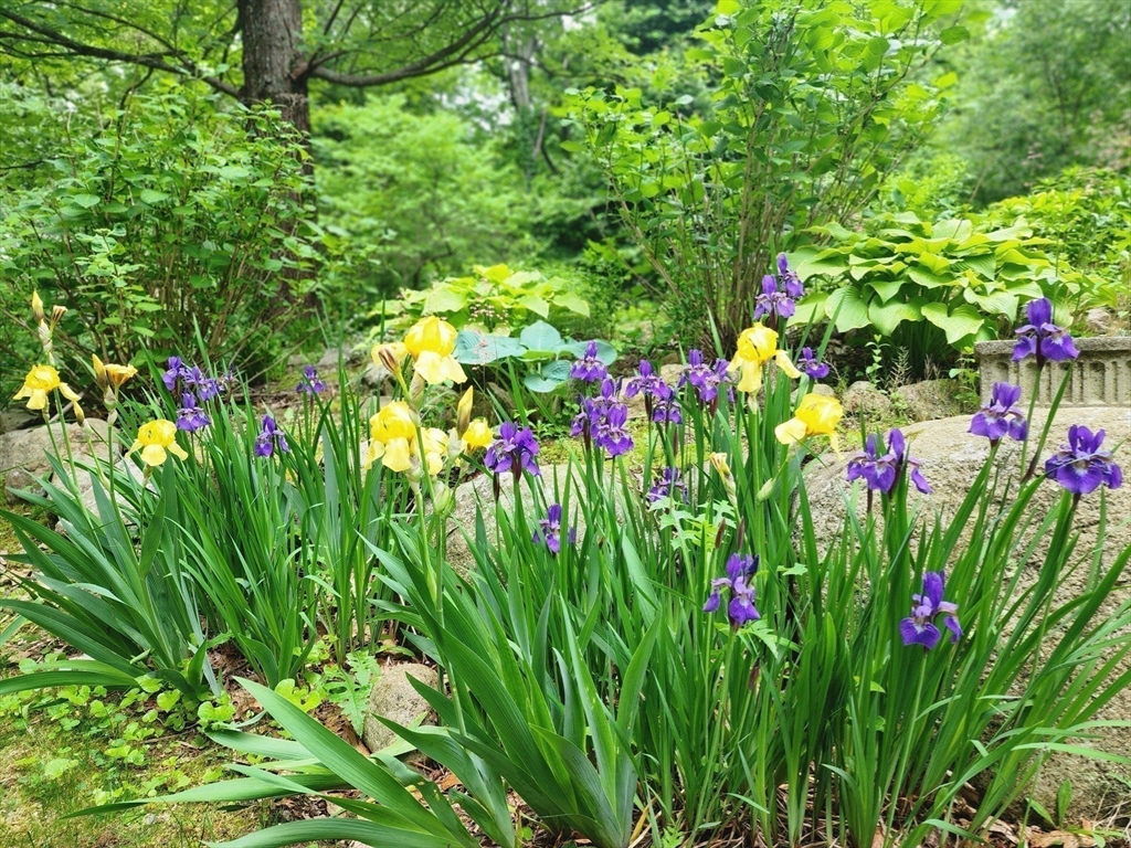 8 Innsbruck Way Franklin, MA 02038 - Photo 6 of 41