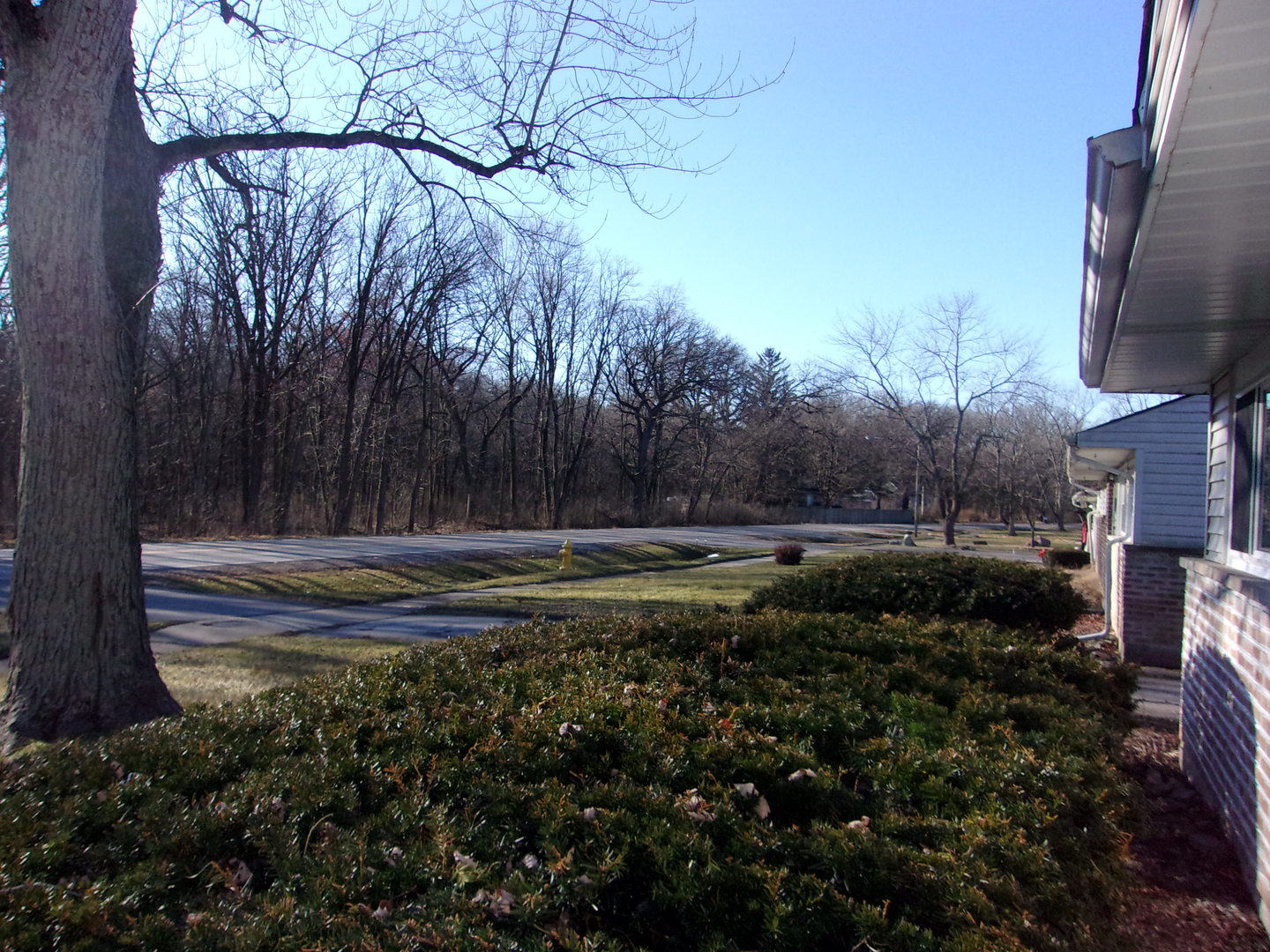 120 Monee Road Park Forest, IL 60466 - Photo 39 of 39