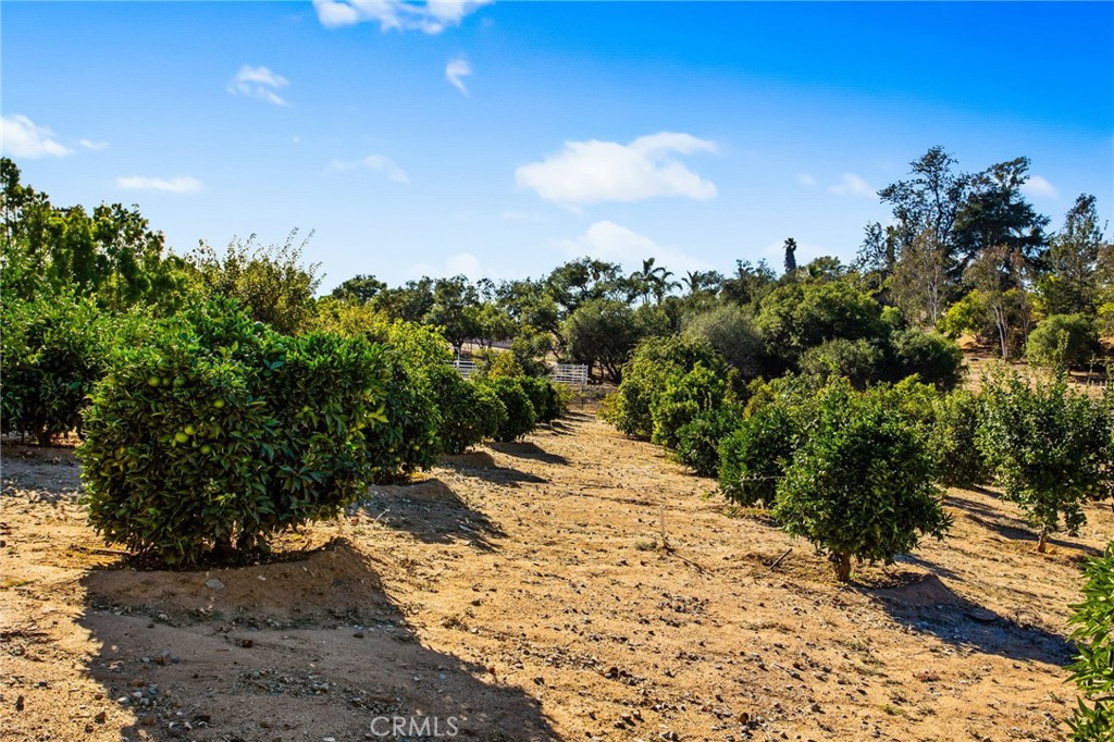 4007 Ladera Vista Road Fallbrook, CA 92028 - Photo 48 of 64