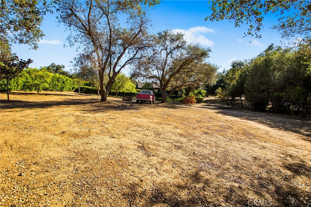 4007 Ladera Vista Road Fallbrook, CA 92028 - Photo 54 of 64 a view of a yard with a tree
