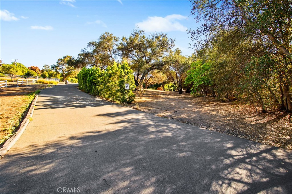 4007 Ladera Vista Road Fallbrook, CA 92028 - Photo 55 of 64 a view of a yard with an outdoor space