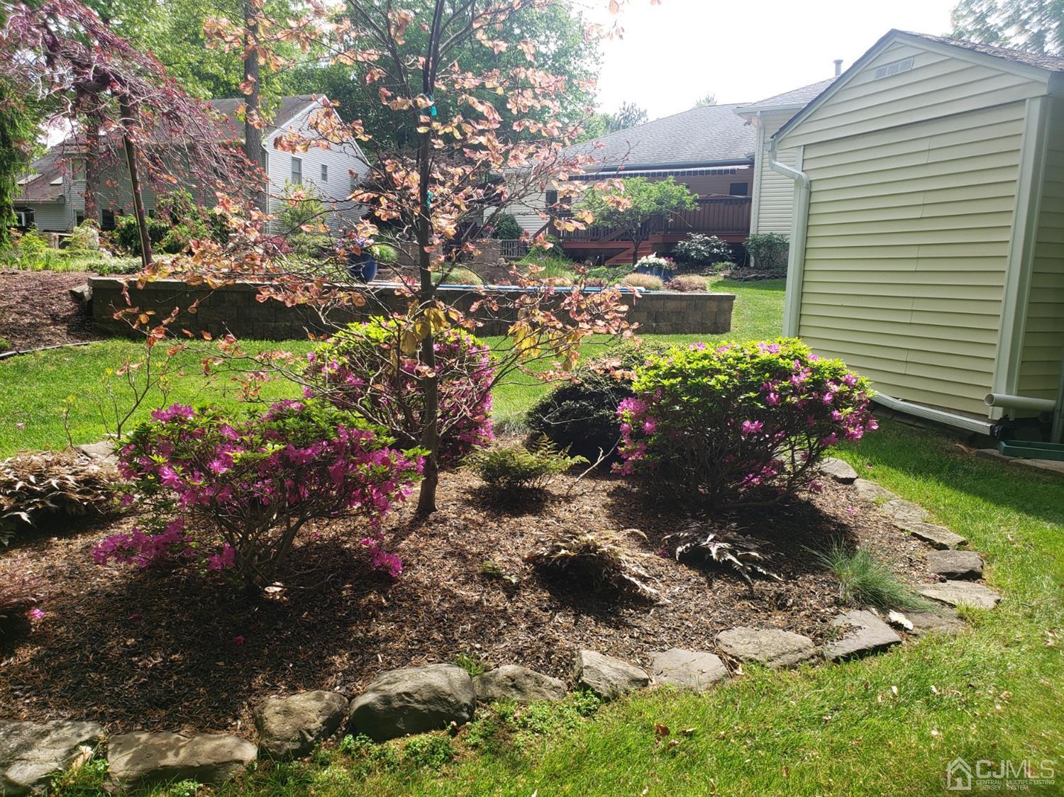 41 Dundee Road Kendall Park, NJ 08824 - Photo 14 of 42 a view of a flower arrangement in backyard