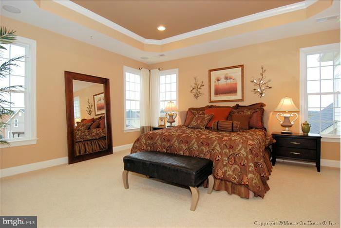 10244 Bethesda Church Road Damascus, MD 20872 - Photo 14 of 22 Bedroom (Master)