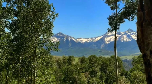 a view of a yard in front of the house