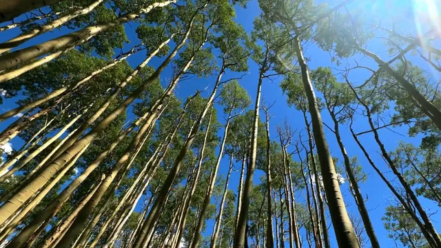 a close up view of a multi story building