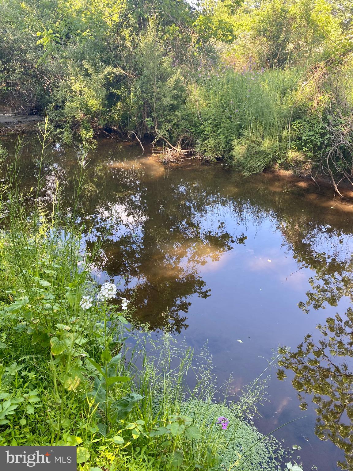 65 Creekside Drive Elizabethtown, PA 17022 - Photo 51 of 65