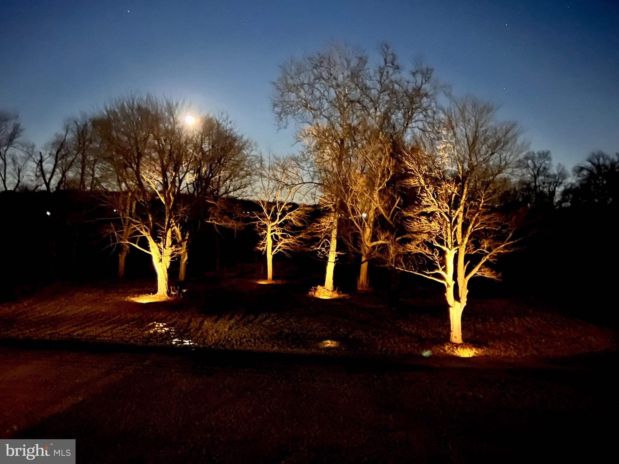 65 Creekside Drive Elizabethtown, PA 17022 - Photo 57 of 65