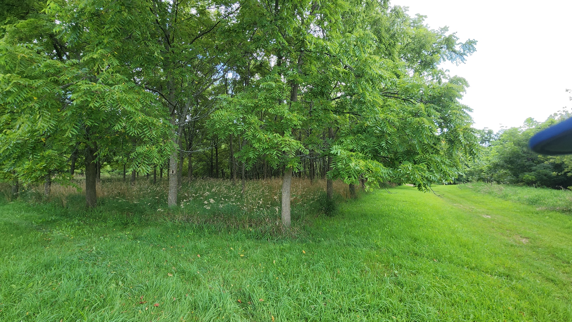 20105 Oak Grove Road Harvard, IL 60033 - Photo 48 of 60