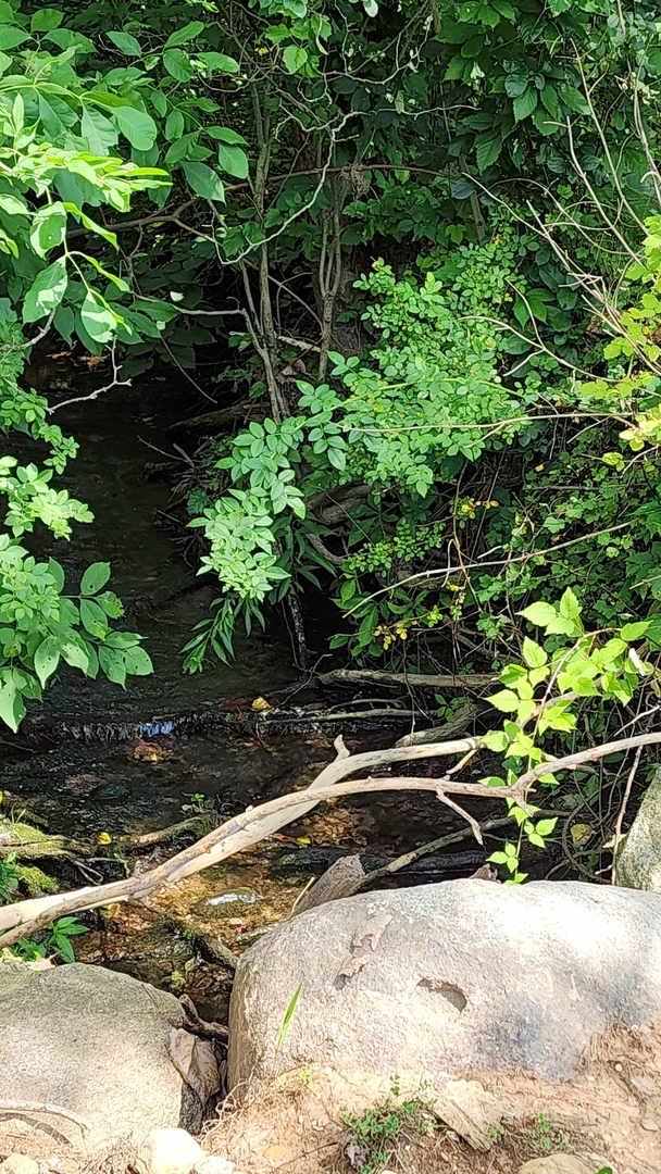 20105 Oak Grove Road Harvard, IL 60033 - Photo 51 of 60