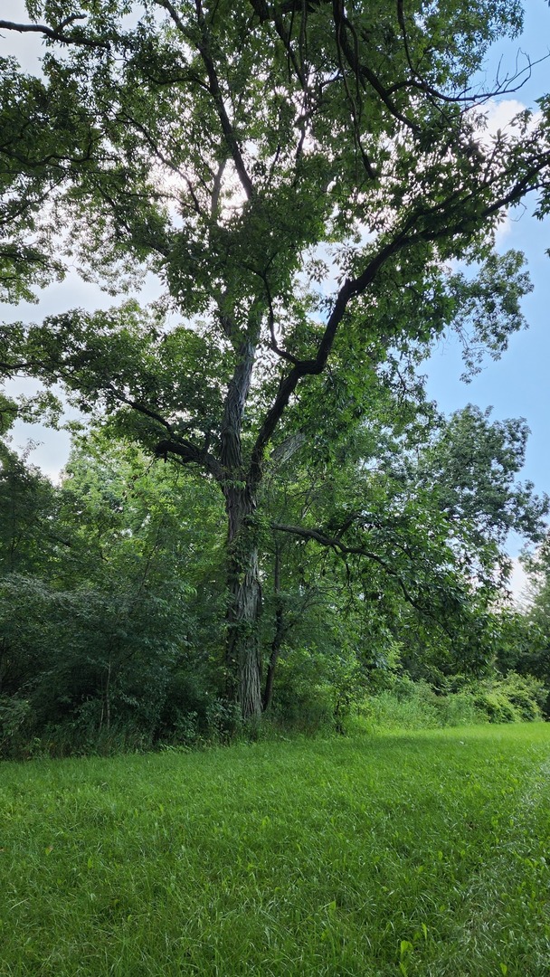 20105 Oak Grove Road Harvard, IL 60033 - Photo 52 of 60