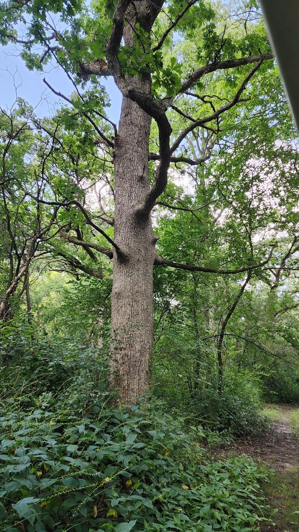 20105 Oak Grove Road Harvard, IL 60033 - Photo 55 of 60