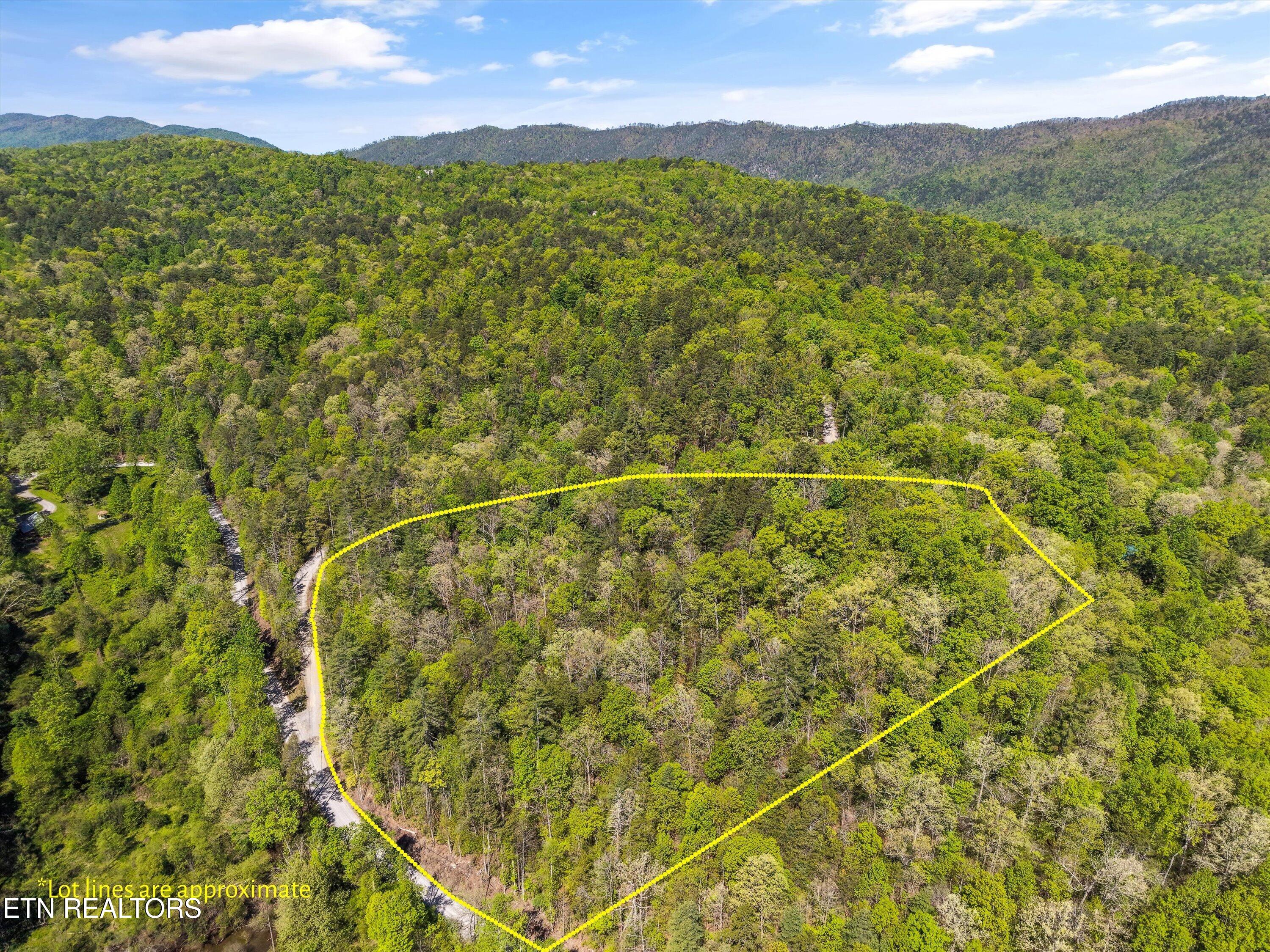 1820 Oakwood Road Walland, TN 37886 - Photo 1 of 16 02-1820 Oakwood Rd07