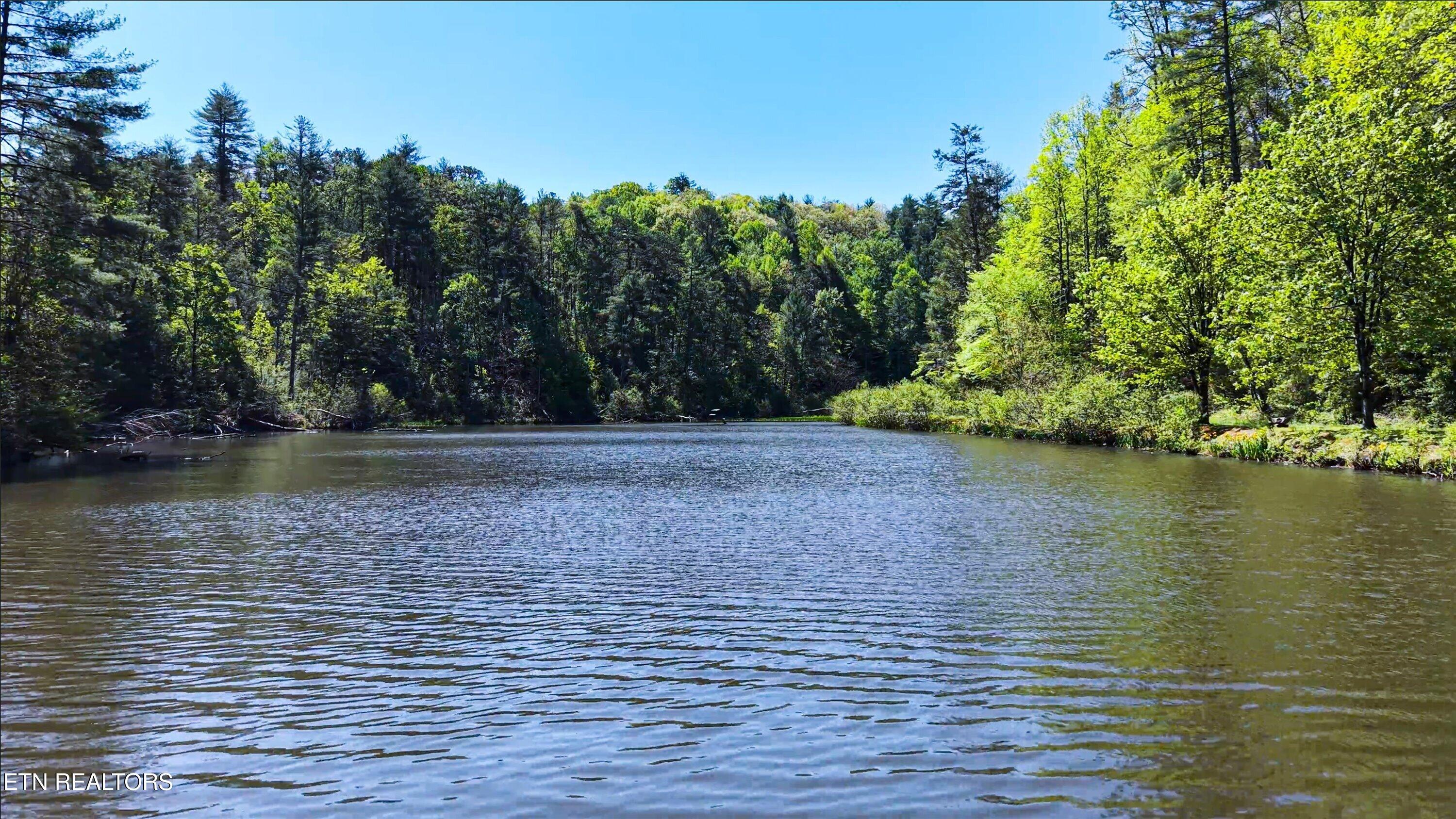 1820 Oakwood Road Walland, TN 37886 - Photo 11 of 16 1-Lake-1-2