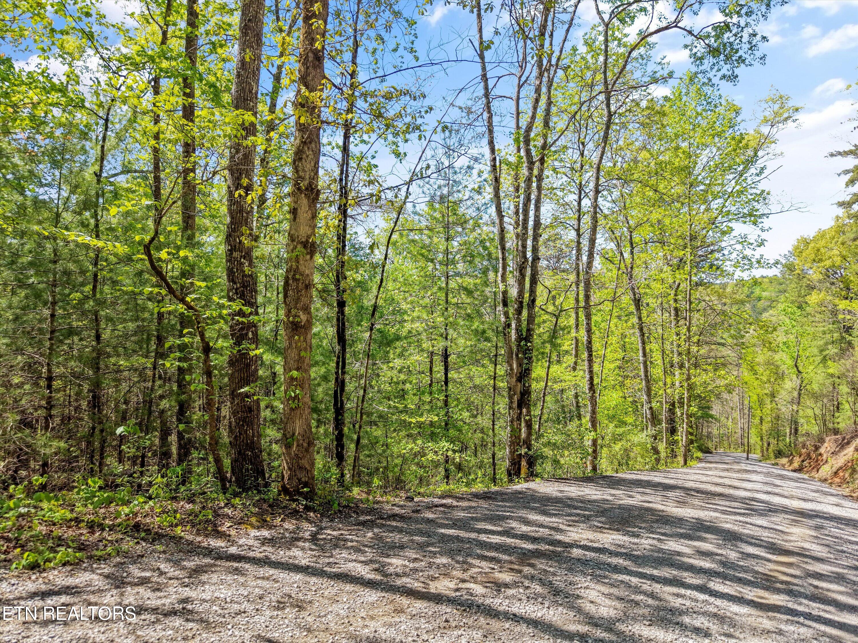 1820 Oakwood Road Walland, TN 37886 - Photo 13 of 16 11-1820 Oakwood Rd01