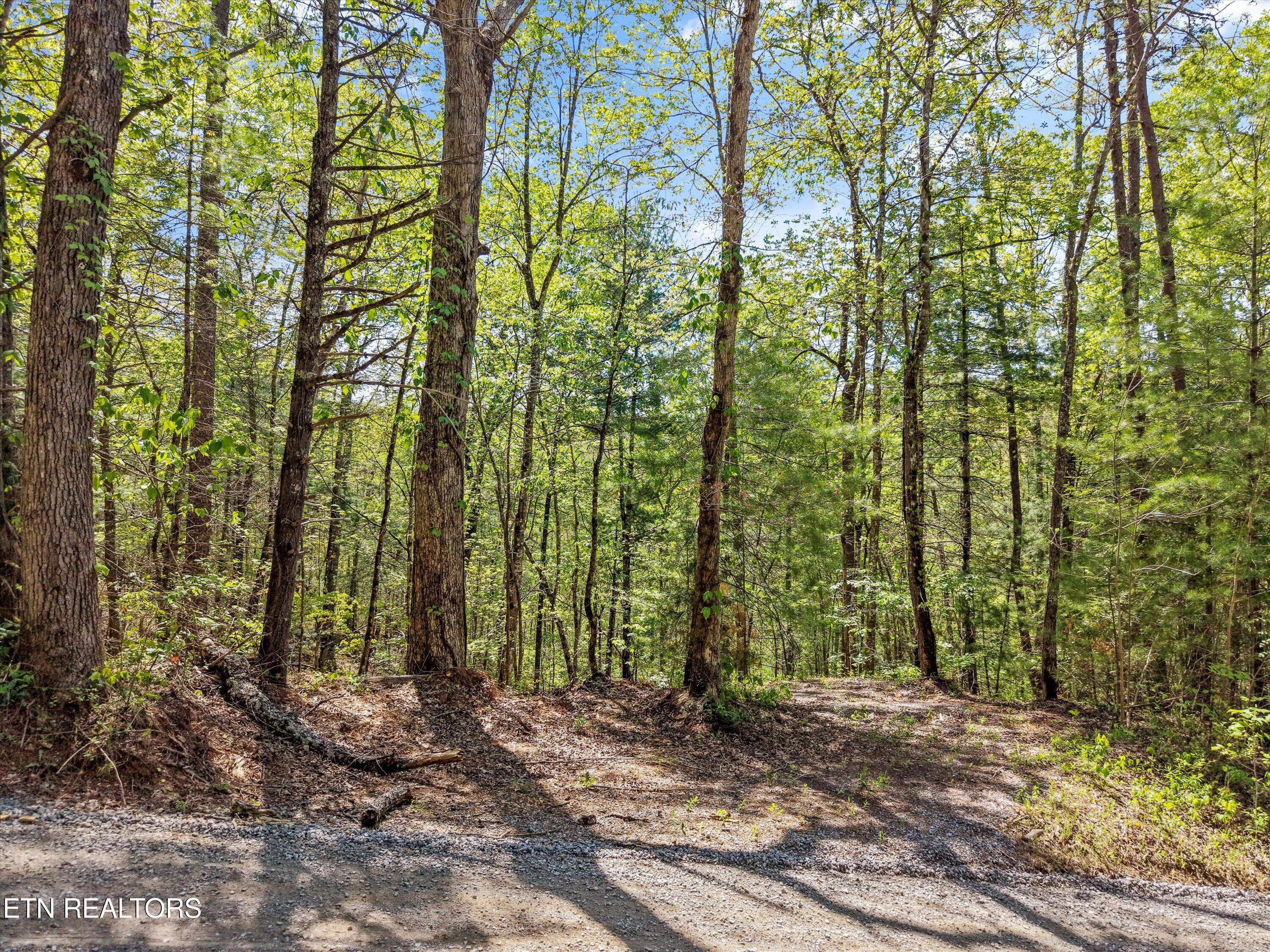 1820 Oakwood Road Walland, TN 37886 - Photo 14 of 16 12-1820 Oakwood Rd02