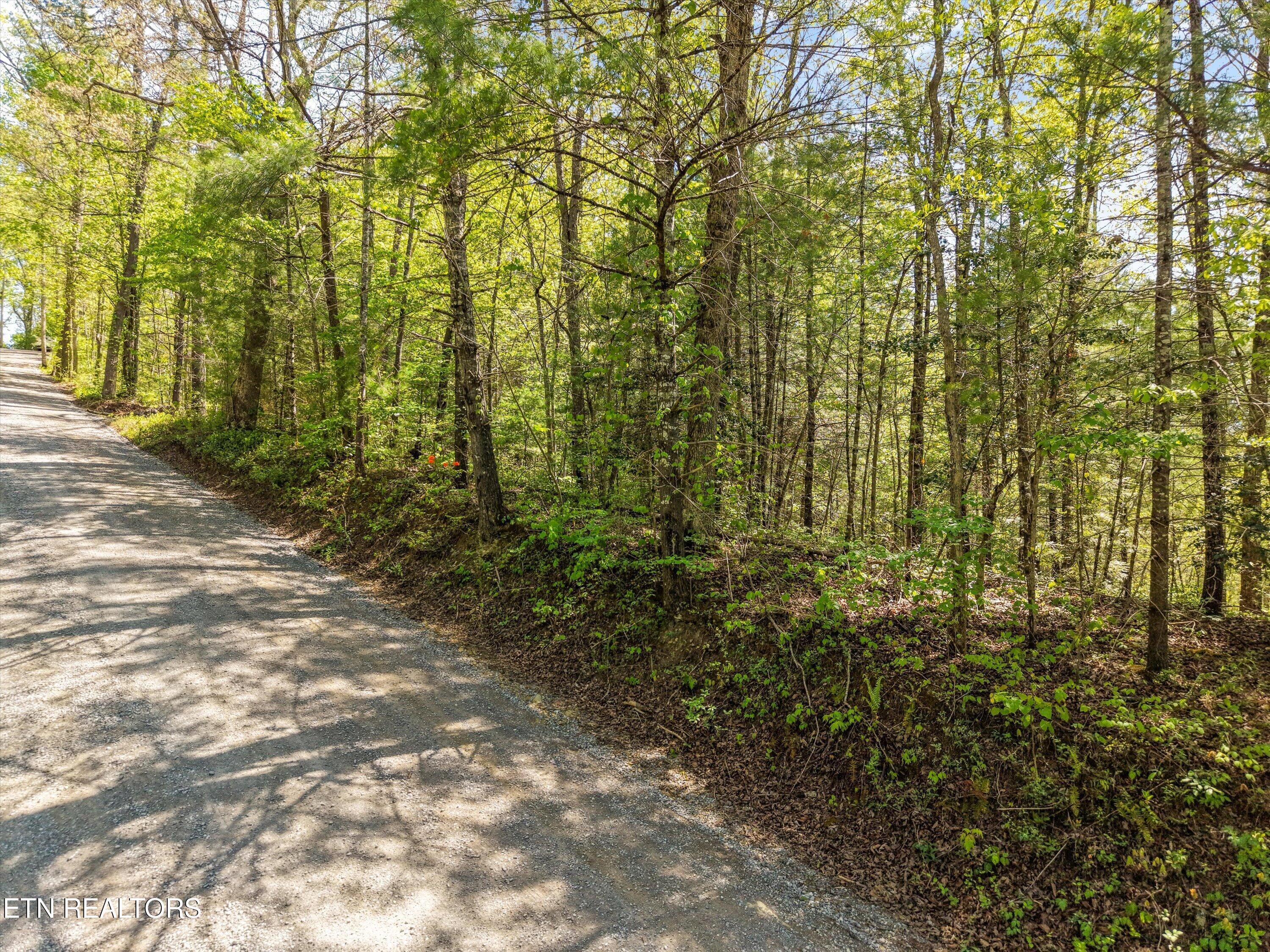 1820 Oakwood Road Walland, TN 37886 - Photo 15 of 16 13-1820 Oakwood Rd03