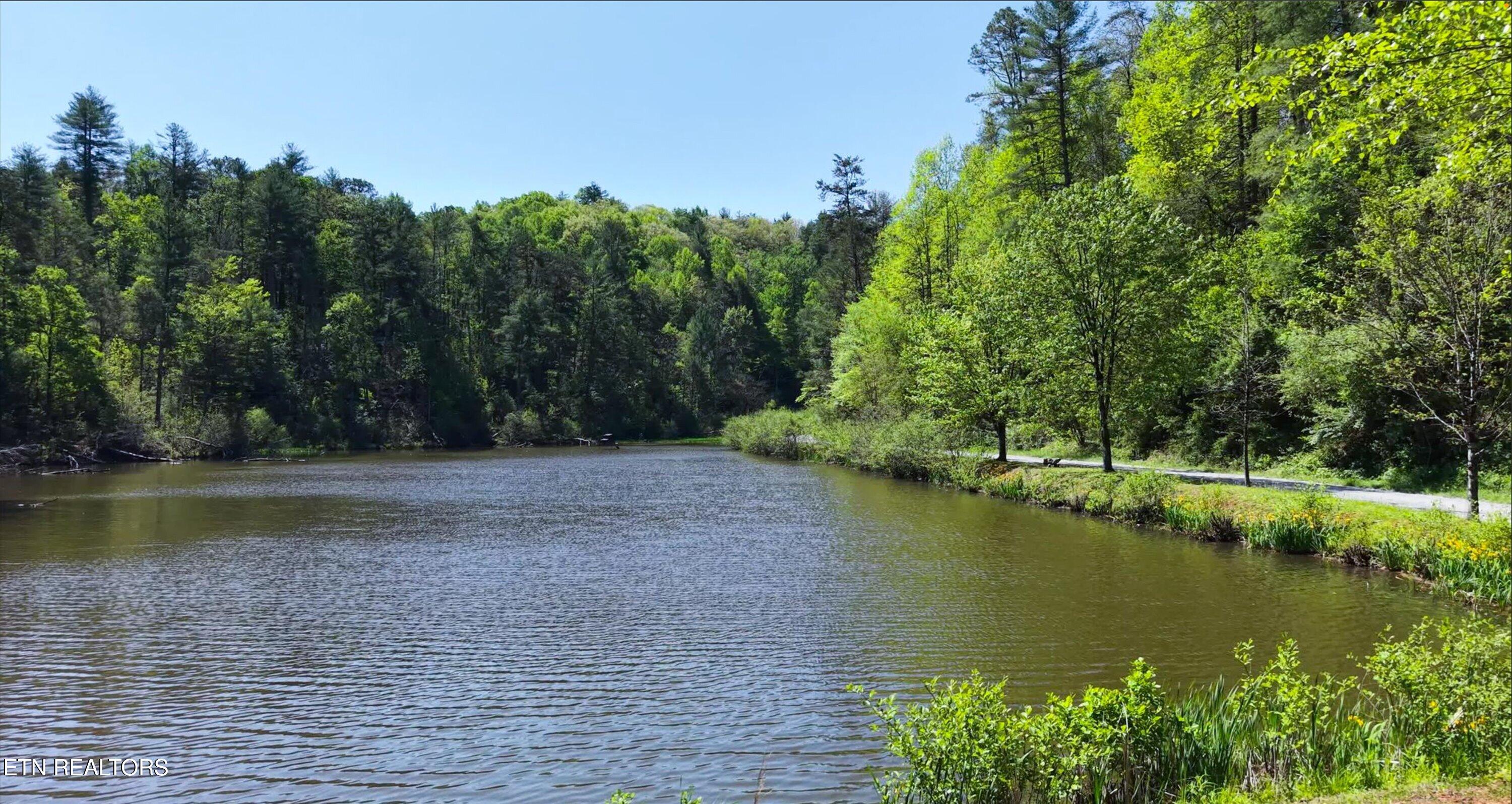 1820 Oakwood Road Walland, TN 37886 - Photo 16 of 16 2-Lake-1