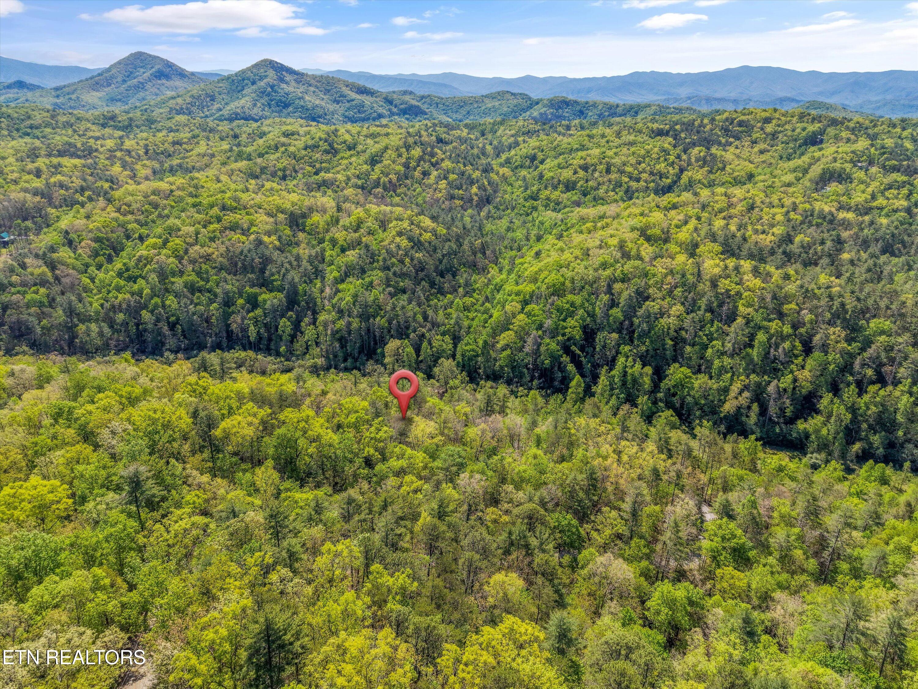 1820 Oakwood Road Walland, TN 37886 - Photo 6 of 16 05-1820 Oakwood Rd06