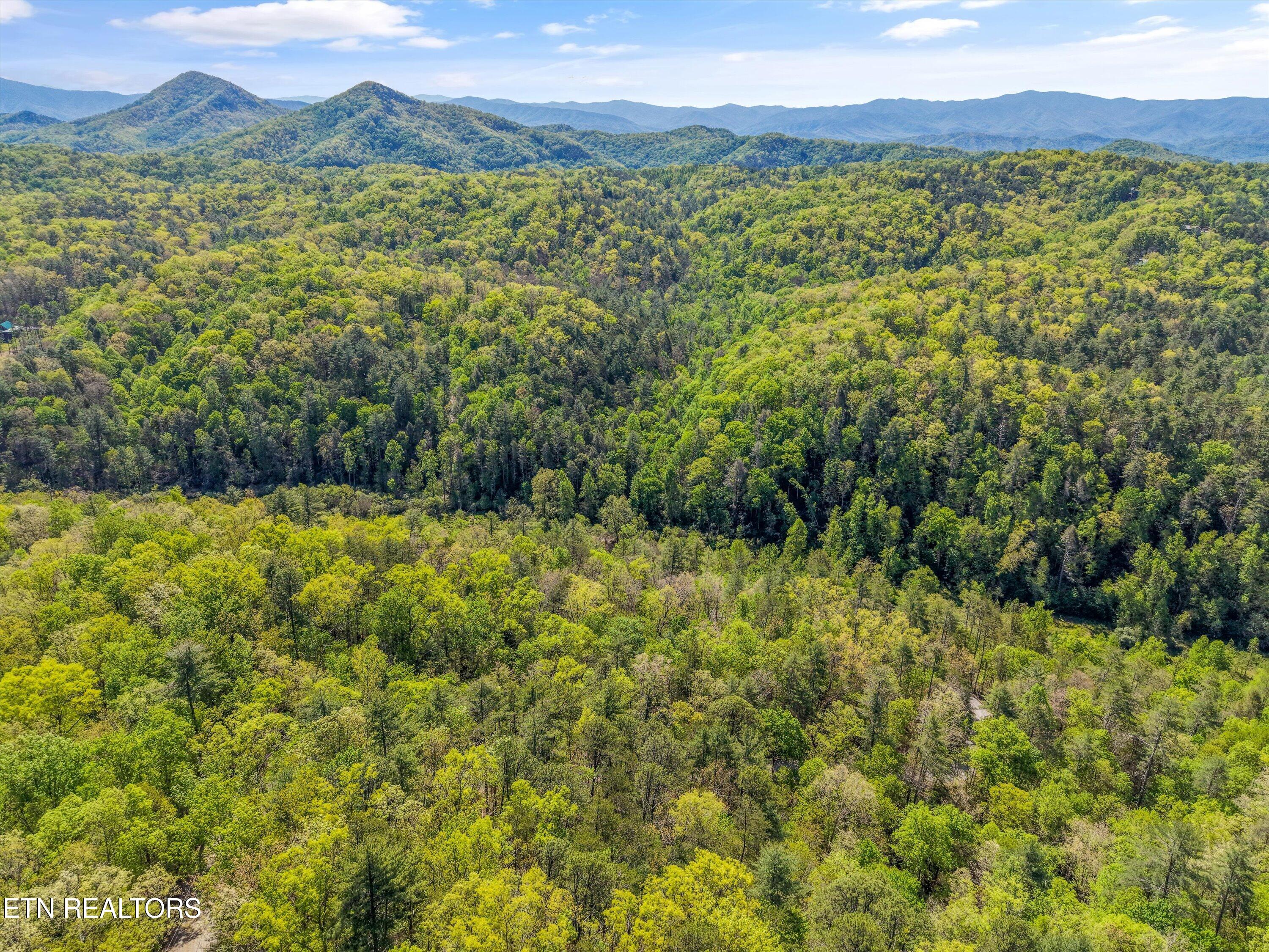 1820 Oakwood Road Walland, TN 37886 - Photo 10 of 16 09-1820 Oakwood Rd06