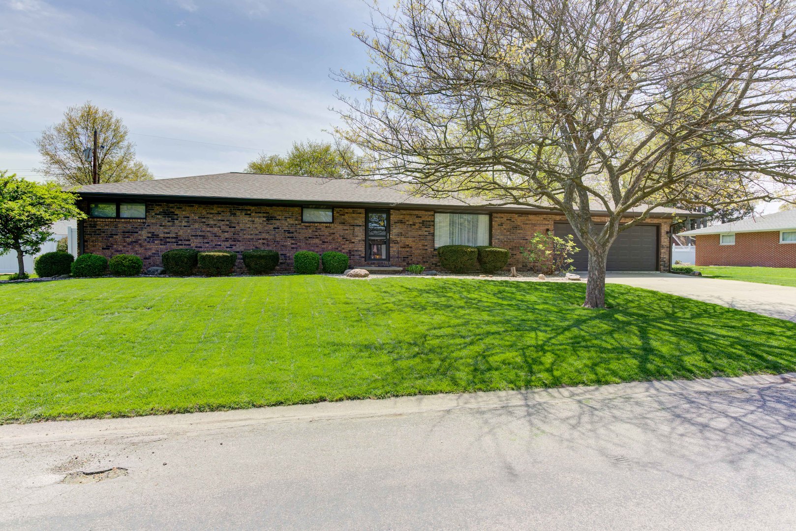 a view of a backyard with a garden and plants