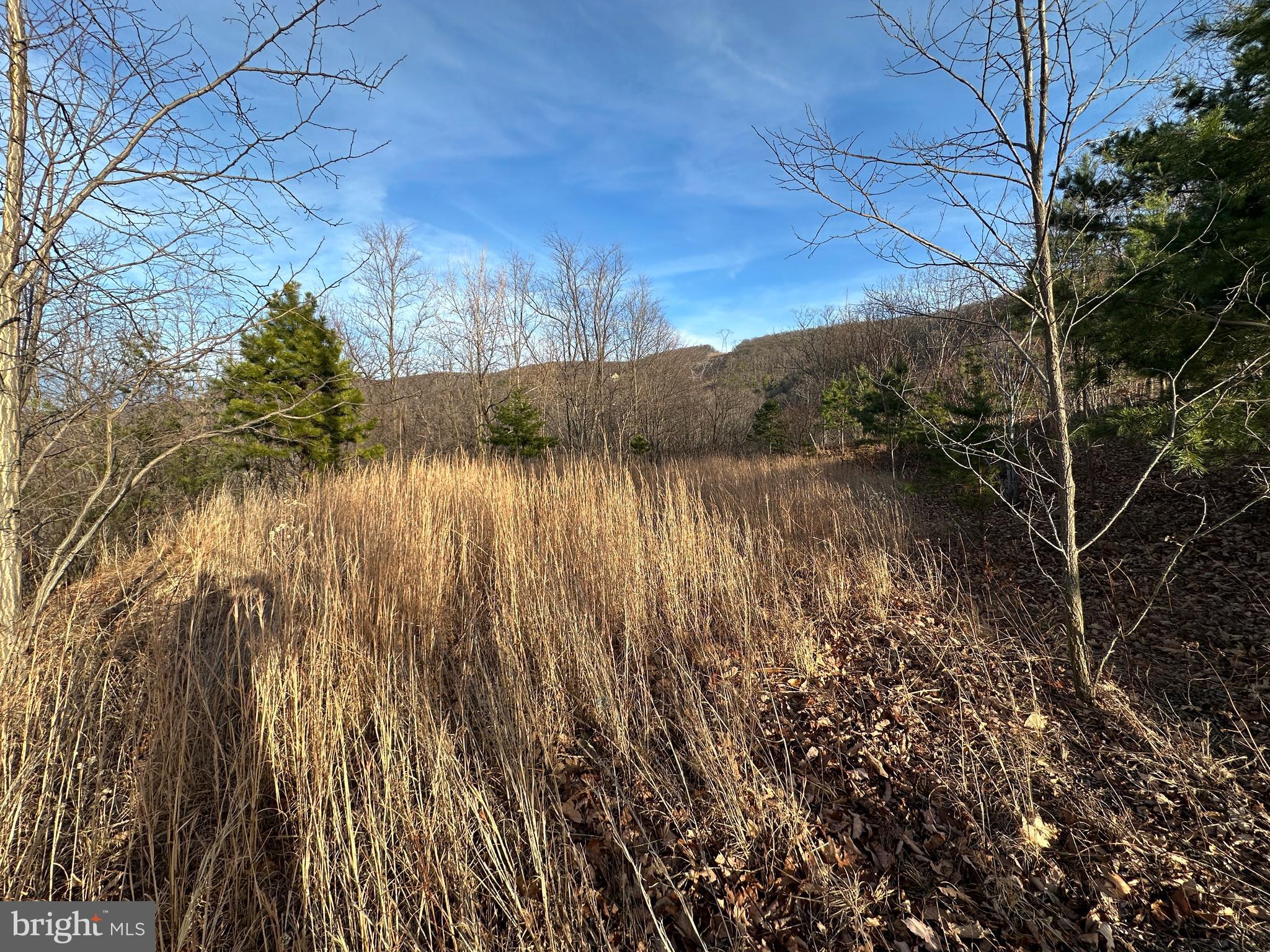 333 Nathaniel Mountain Road Moorefield, WV 26836 - Photo 34 of 65