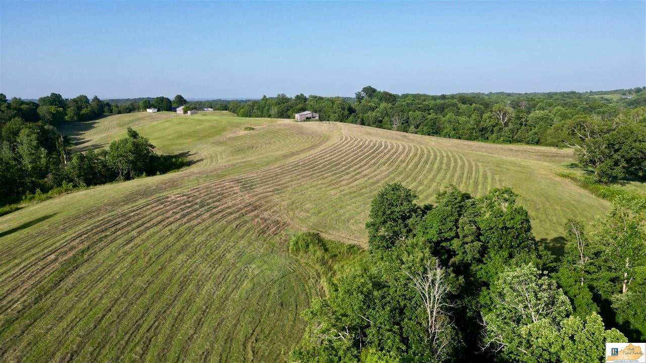 2417 Weed-Keltner Road Edmonton, KY 42129 - Photo 76 of 93 Gallery Image 76