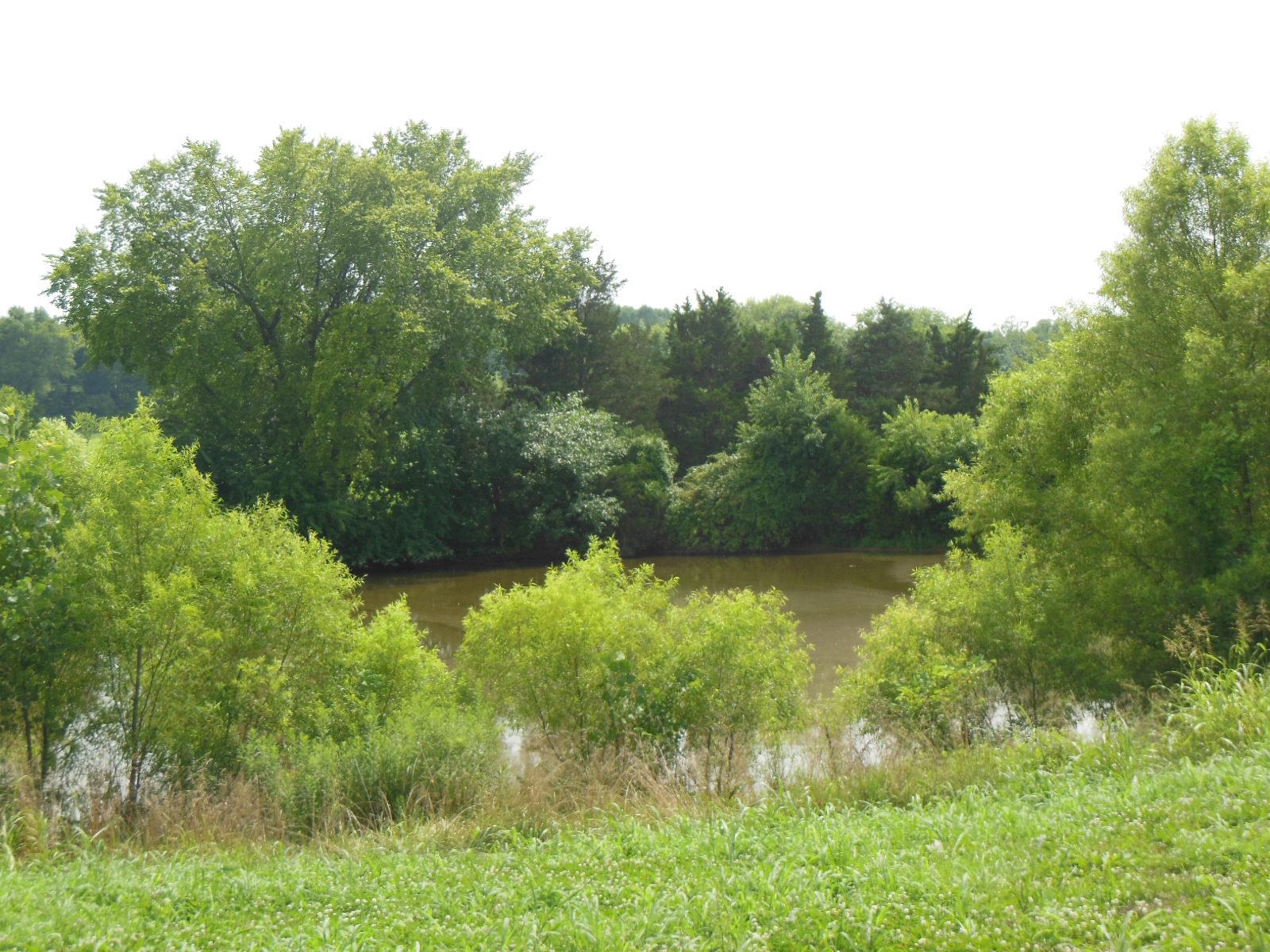 5525 Minnis Road Springfield, TN 37172 - Photo 13 of 20 a view of lake background with houses