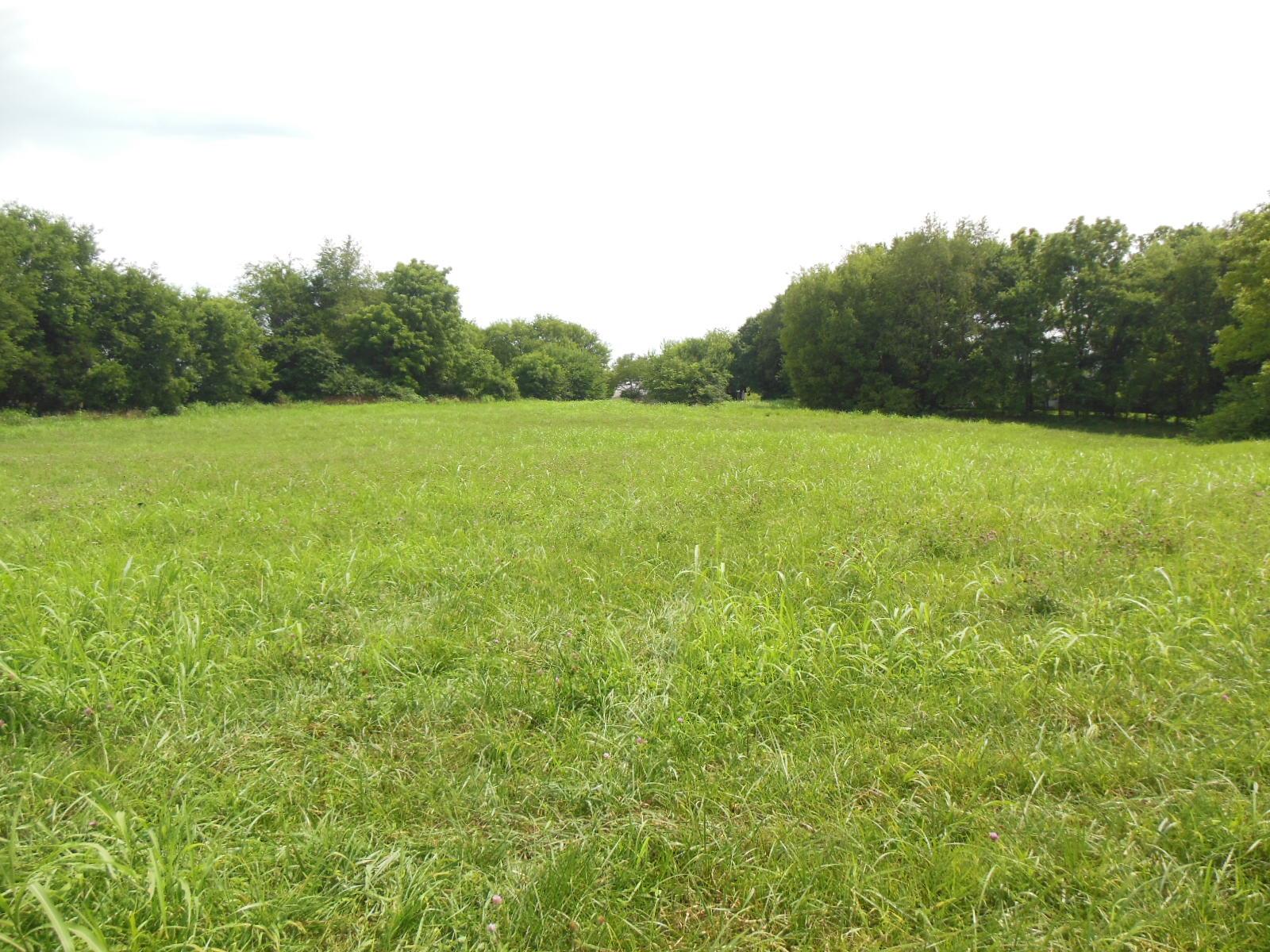 5525 Minnis Road Springfield, TN 37172 - Photo 14 of 20 a view of a field of grass and trees