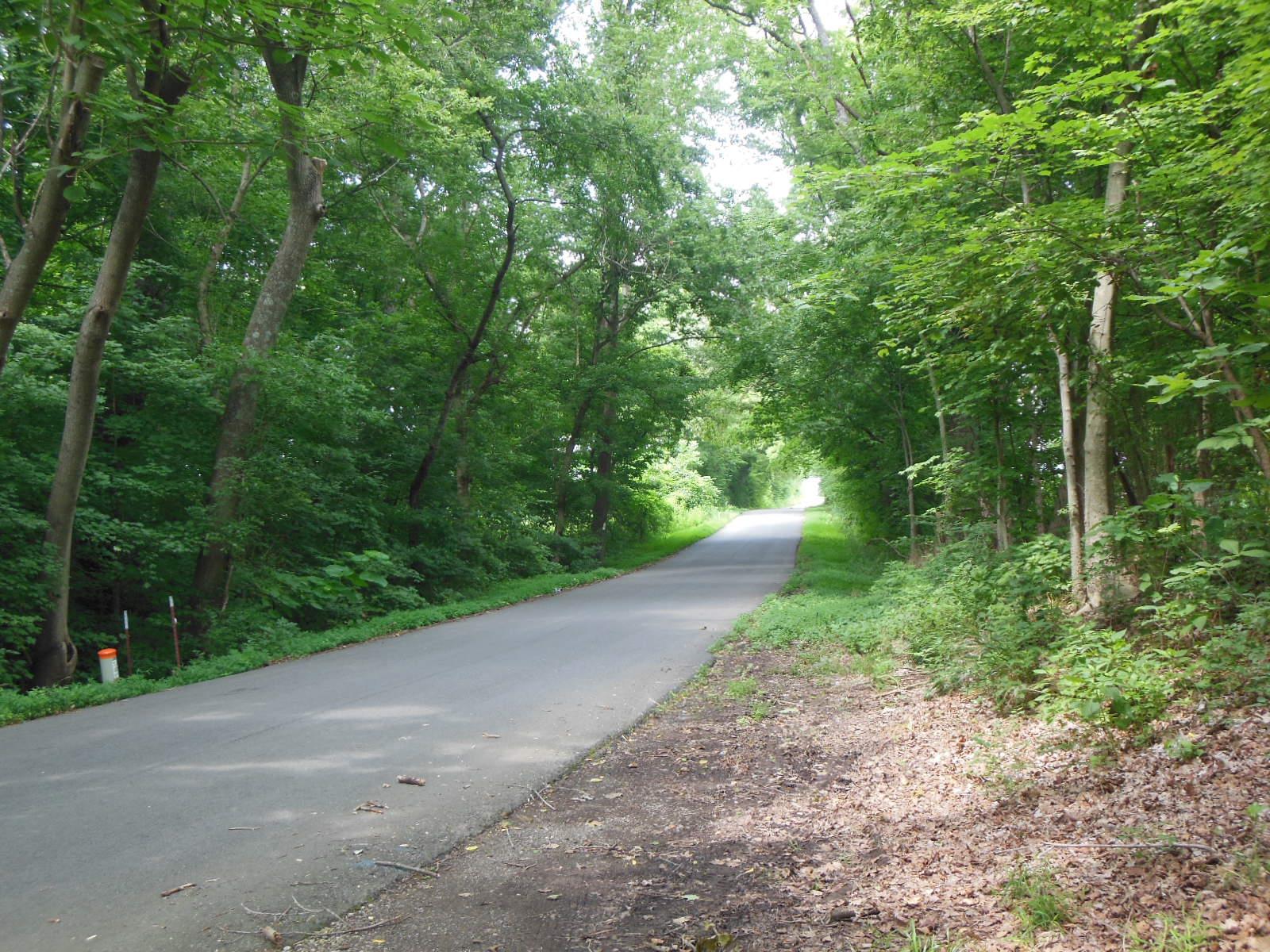 5525 Minnis Road Springfield, TN 37172 - Photo 17 of 20 a view of a road with a yard