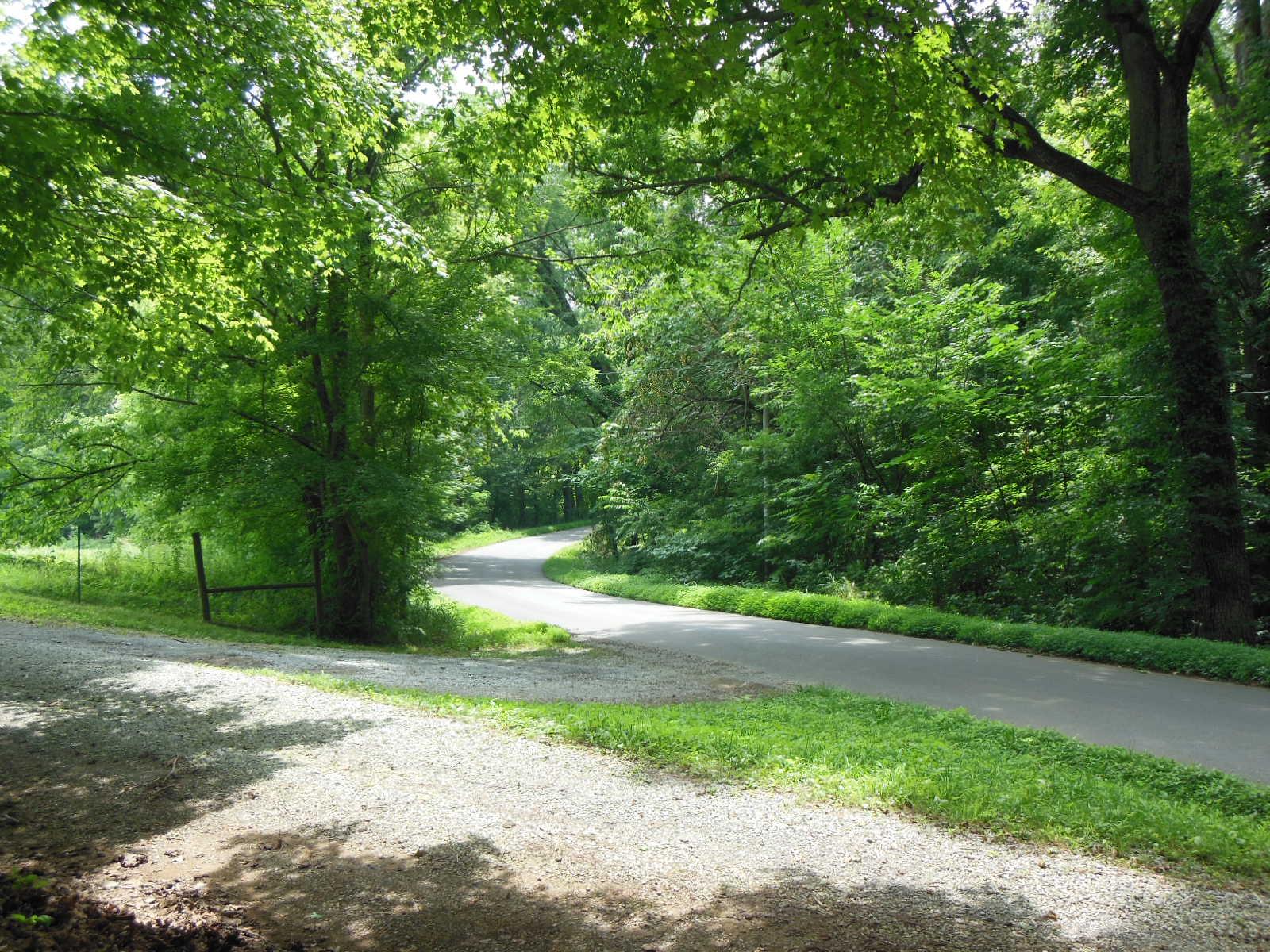 5525 Minnis Road Springfield, TN 37172 - Photo 19 of 20 a view of a yard with plants and large trees