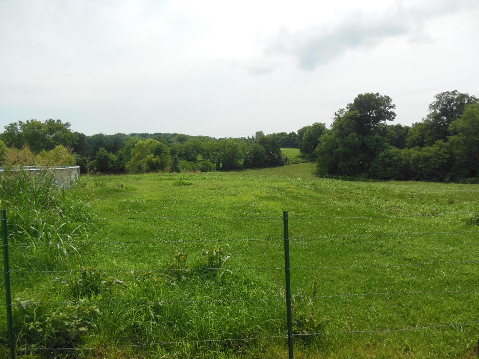 5525 Minnis Road Springfield, TN 37172 - Photo 4 of 20 a view of grassy field with trees