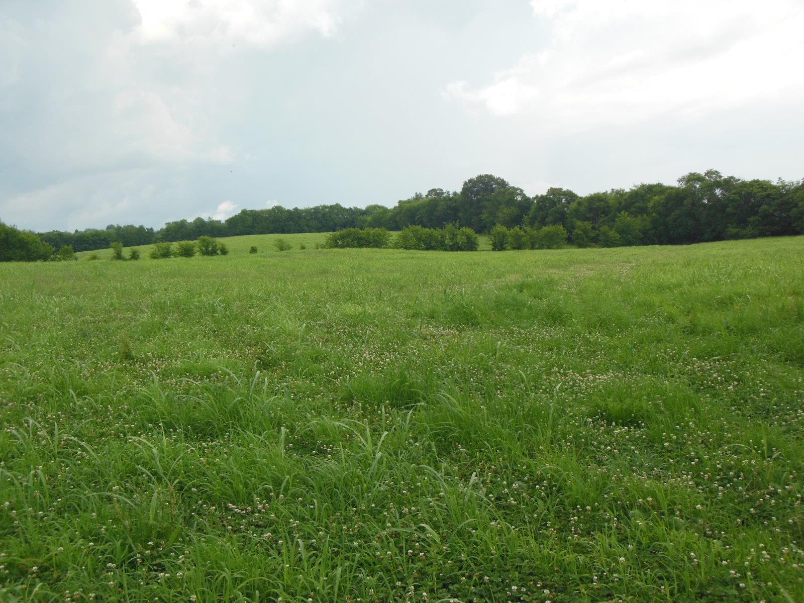 5525 Minnis Road Springfield, TN 37172 - Photo 6 of 20 a view of a green field with trees in the background