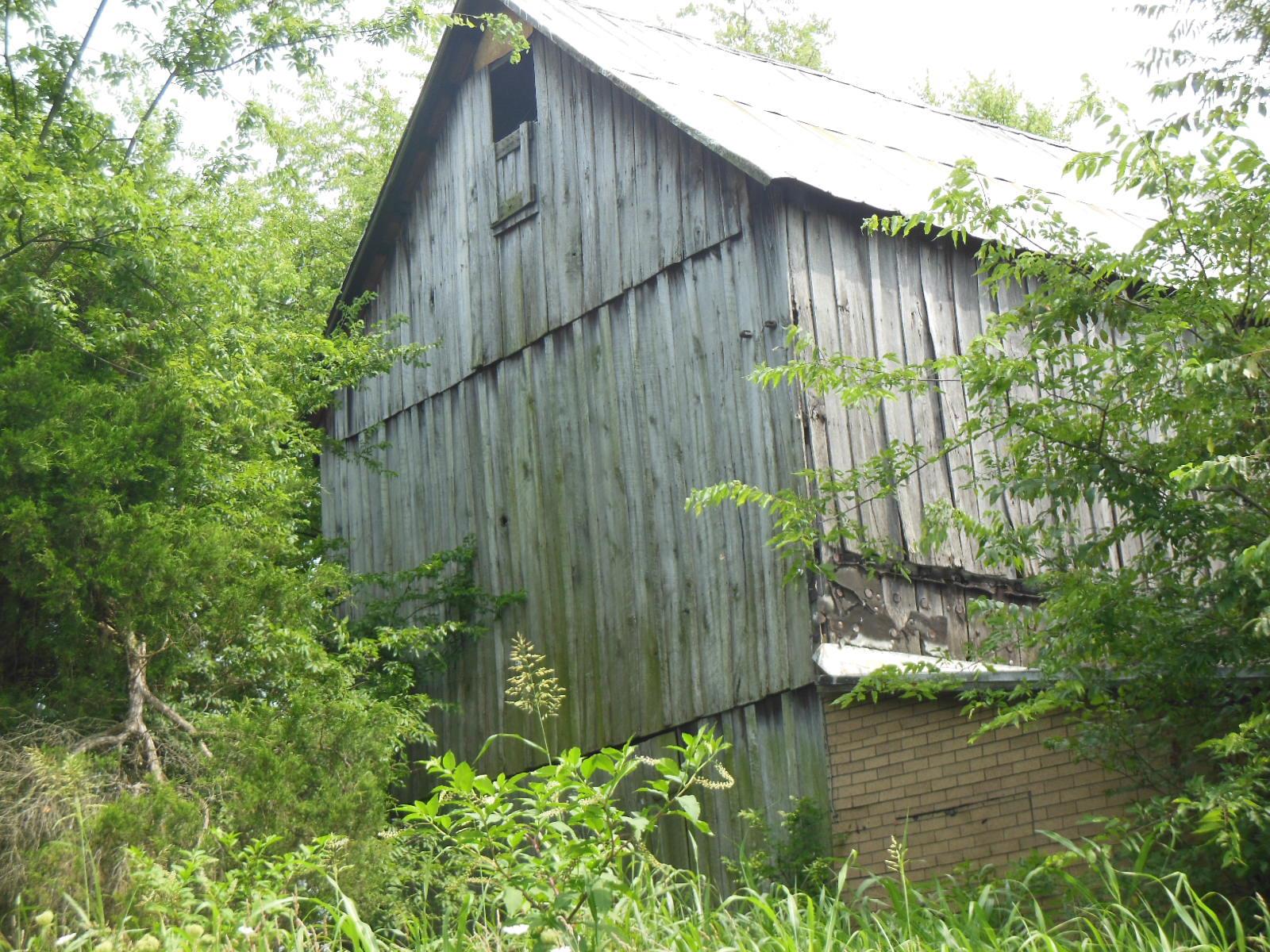 5525 Minnis Road Springfield, TN 37172 - Photo 10 of 20 a backyard of a house with lots of green space