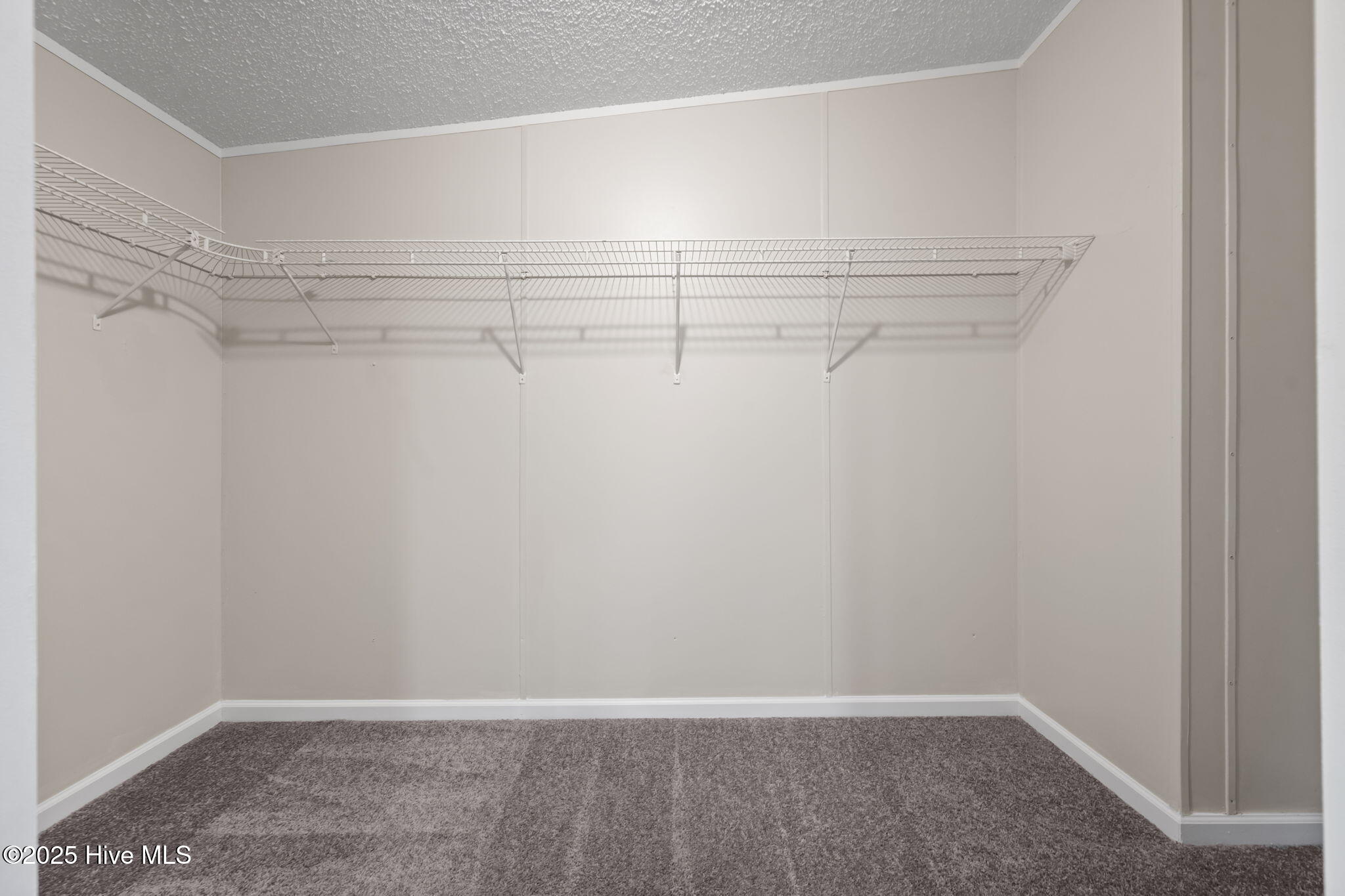 177 Baysden Road Chinquapin, NC 28521 - Photo 38 of 51 38-web-or-mls-_RAD3571