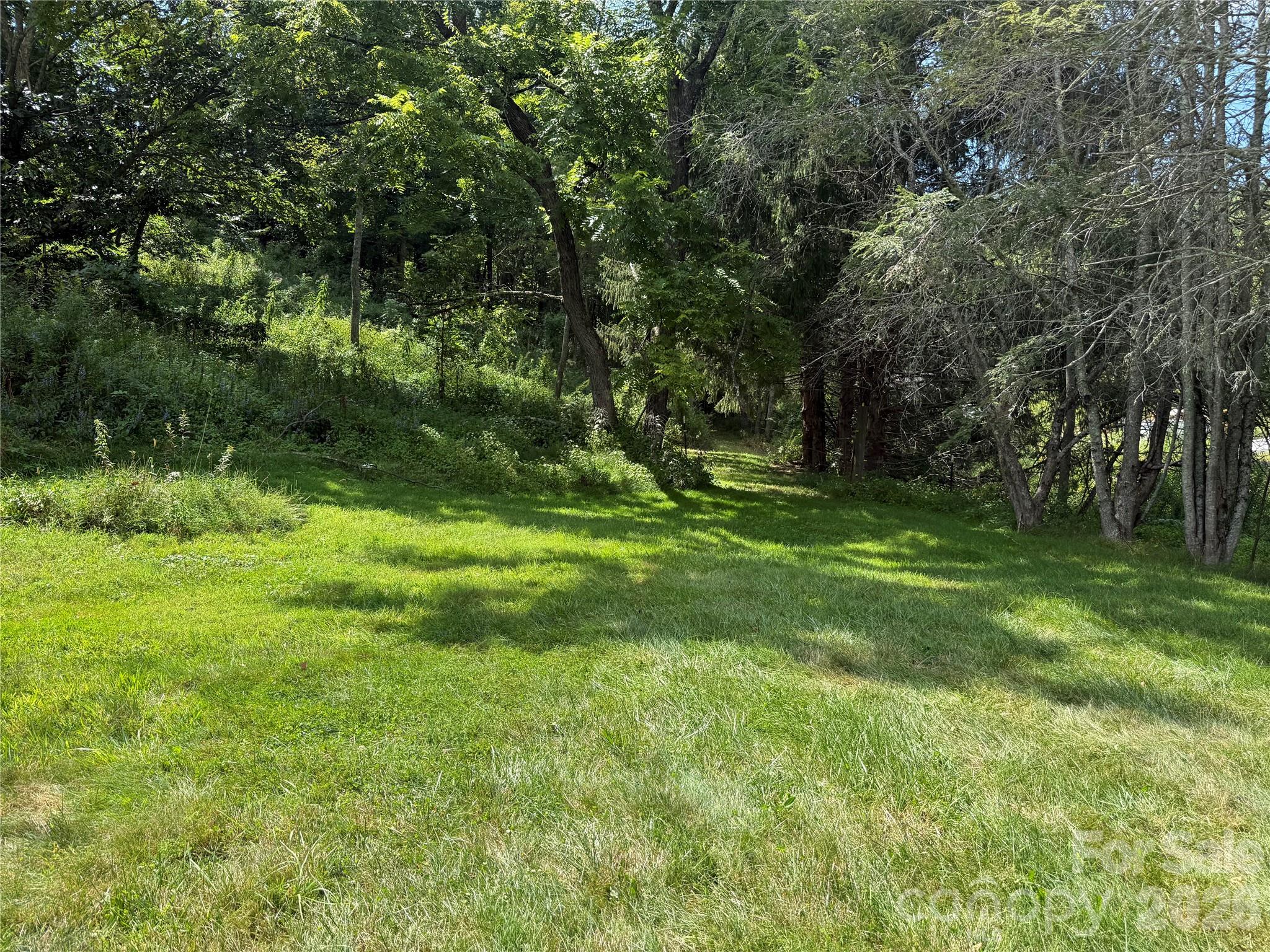 20 Triangle Road Tuckasegee, NC 28783 - Photo 10 of 12 Gallery Image 10