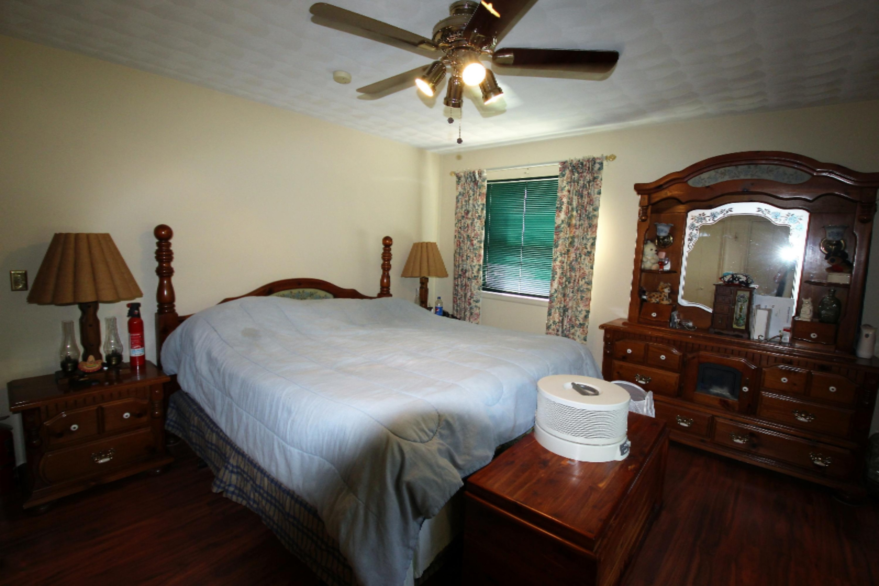 706 South George Street Decatur, MI 49045 - Photo 7 of 42 IMG_4329