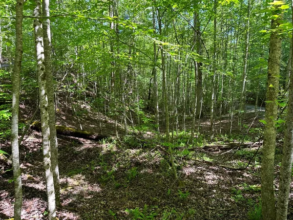 $37,500 | 0 Reserve Estate, Murphy, NC 28906