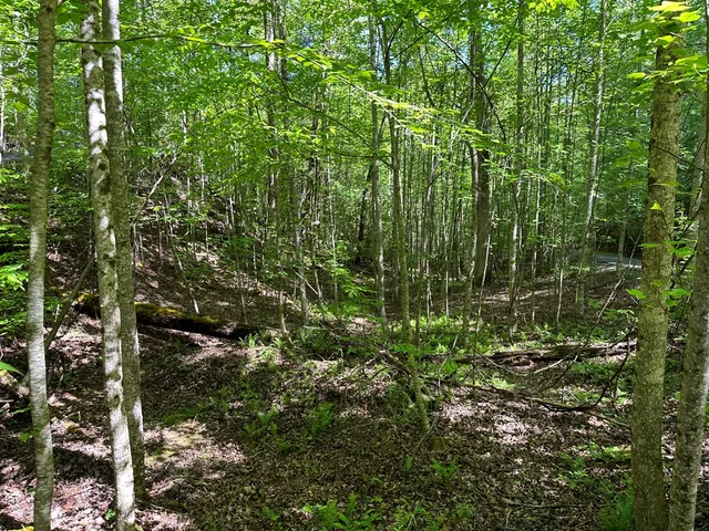 $37,500 | 0 Reserve Estate, Murphy, NC 28906