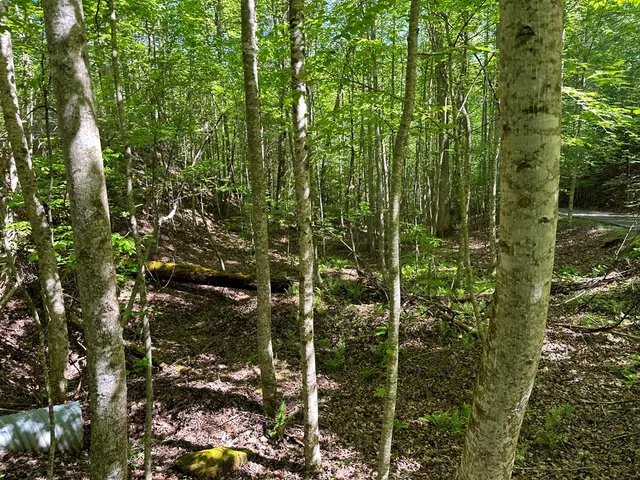 $37,500 | 0 Reserve Estate, Murphy, NC 28906